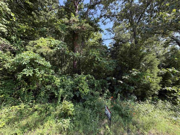0 56 Highway , Brockwell, AR 72157