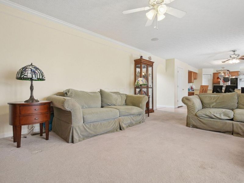 400 Alberta Drive, Commercial Point, OH 43116 Photo 24