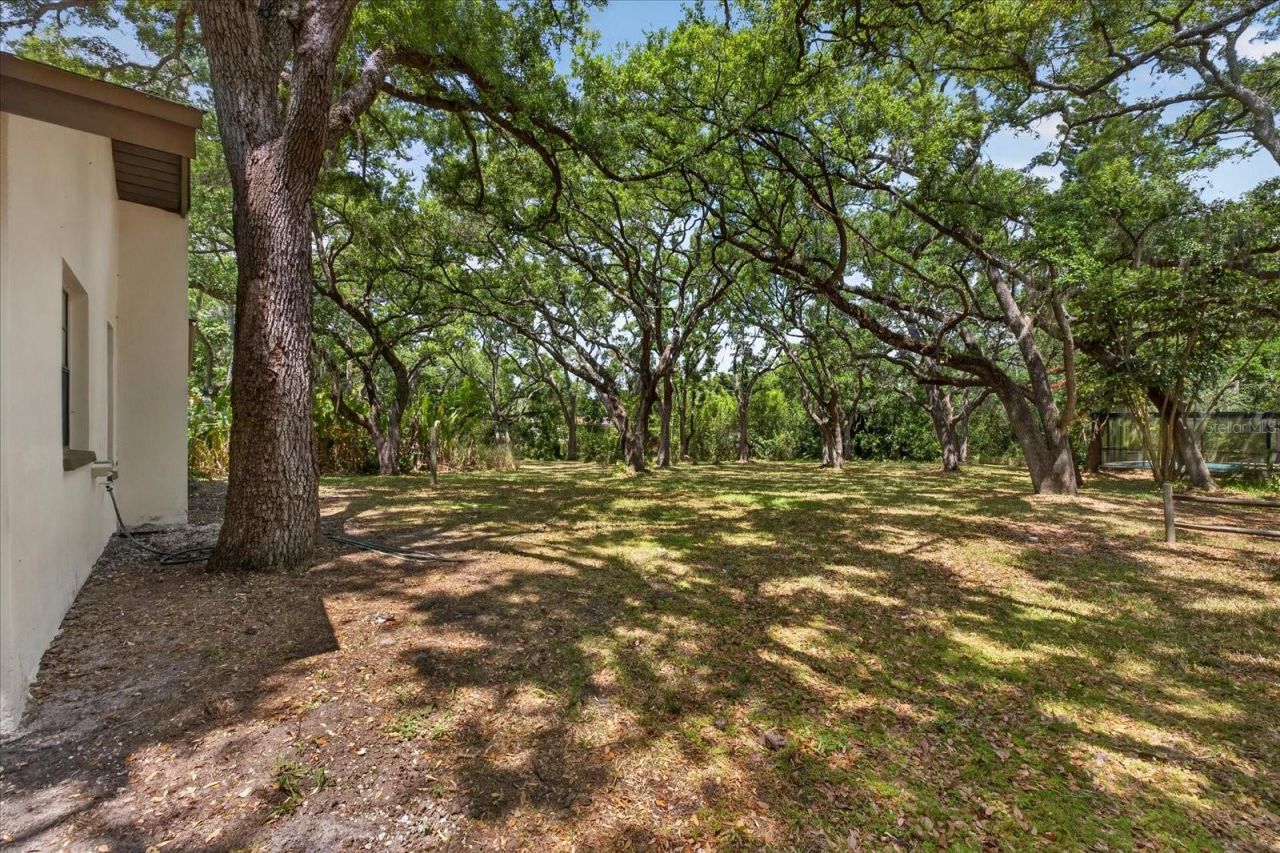 56 Bay Woods Drive, Safety Harbor, FL 34695 Photo