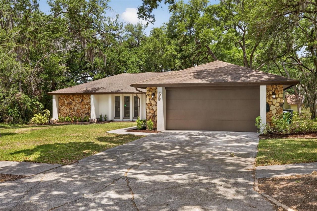 56 Bay Woods Drive, Safety Harbor, FL 34695 Photo