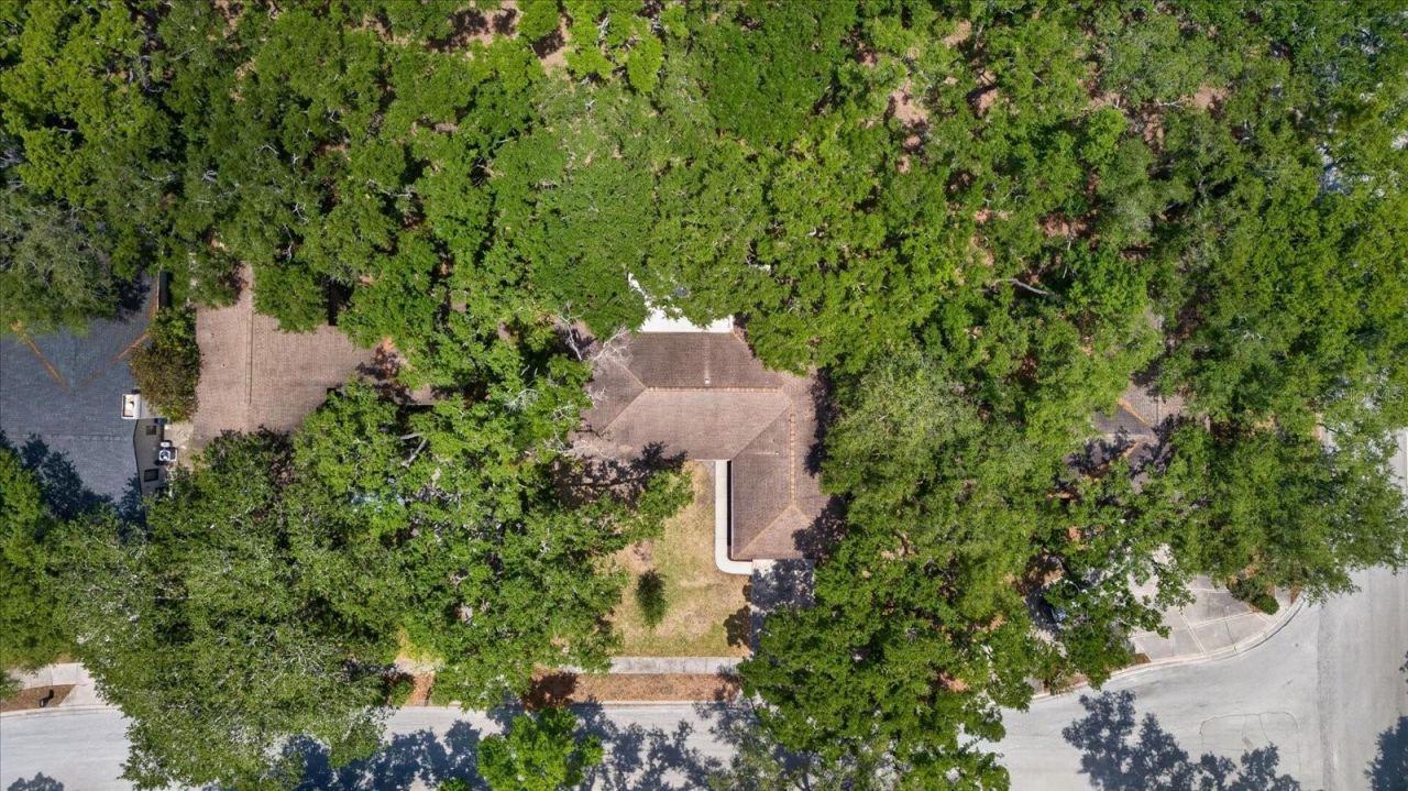 56 Bay Woods Drive, Safety Harbor, FL 34695 Photo