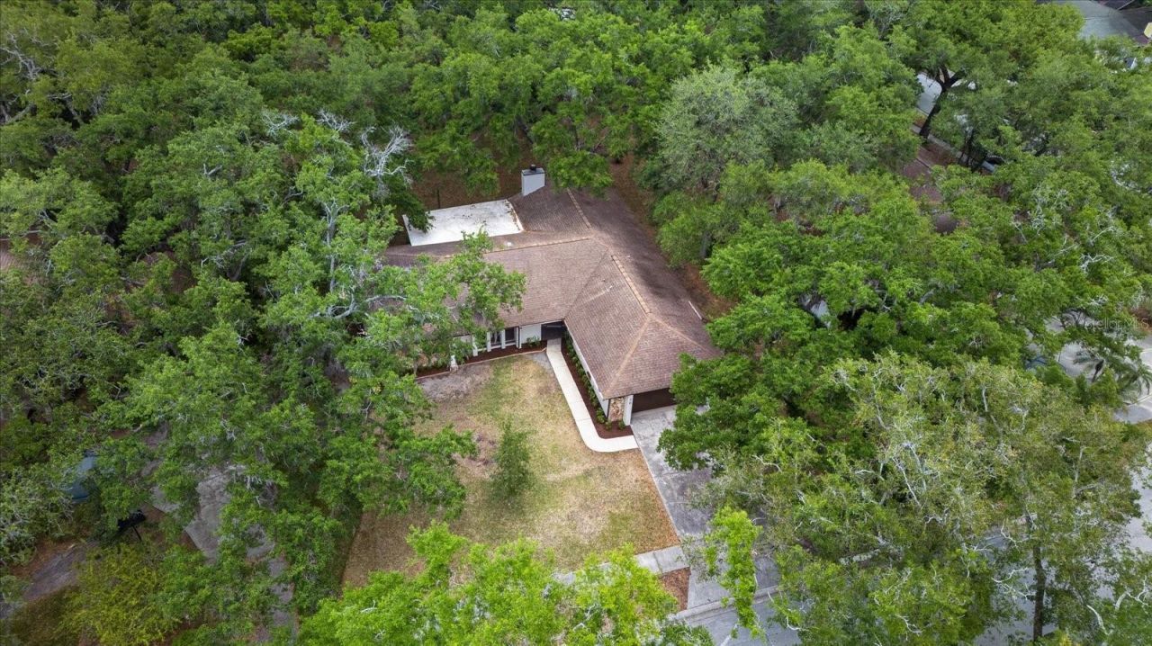 56 Bay Woods Drive, Safety Harbor, FL 34695 Photo