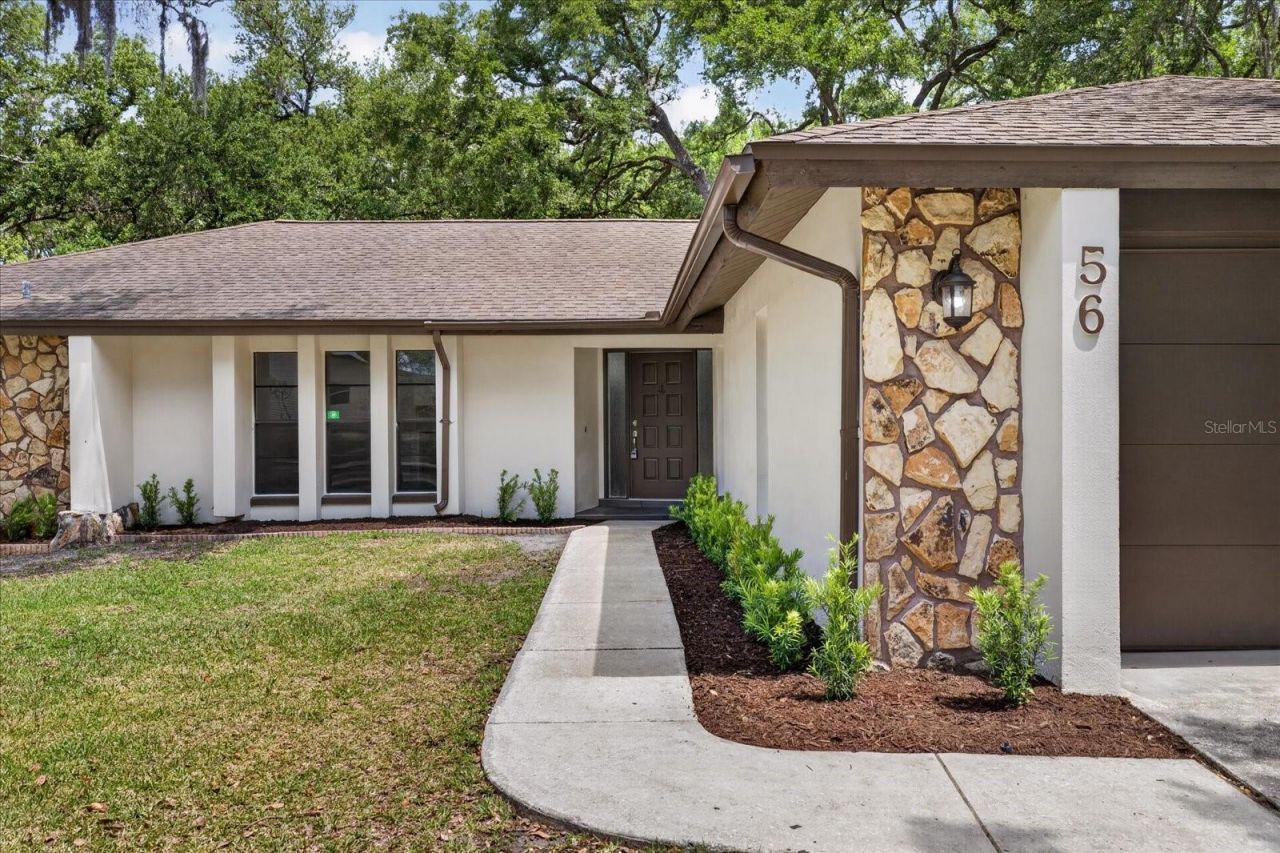 56 Bay Woods Drive, Safety Harbor, FL 34695 Photo