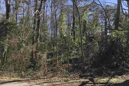 1314 Red Ridge Terrace  photo 4