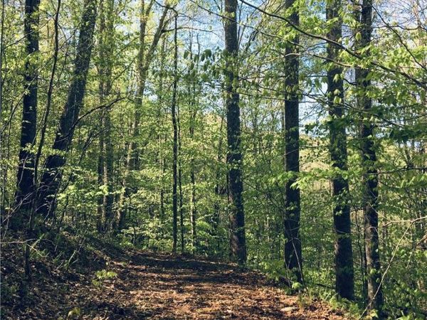 57 Fern Hill Drive , Mars Hill, NC 28754