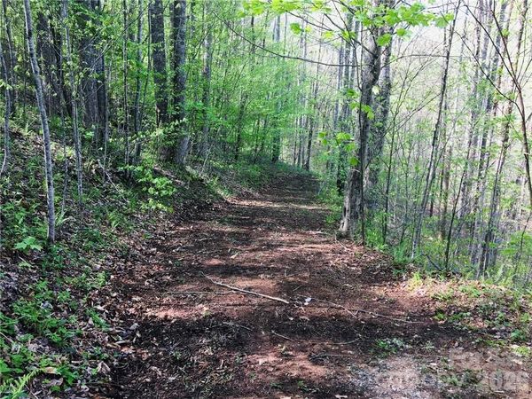 99 &57 Fern Hill Drive , Mars Hill, NC 28754