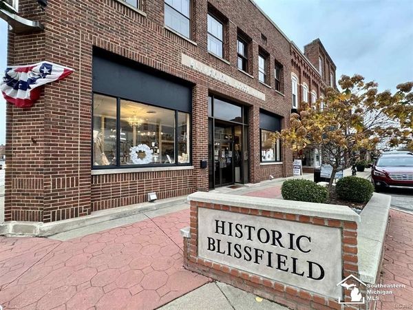101 S Lane Street, Blissfield, MI 49228