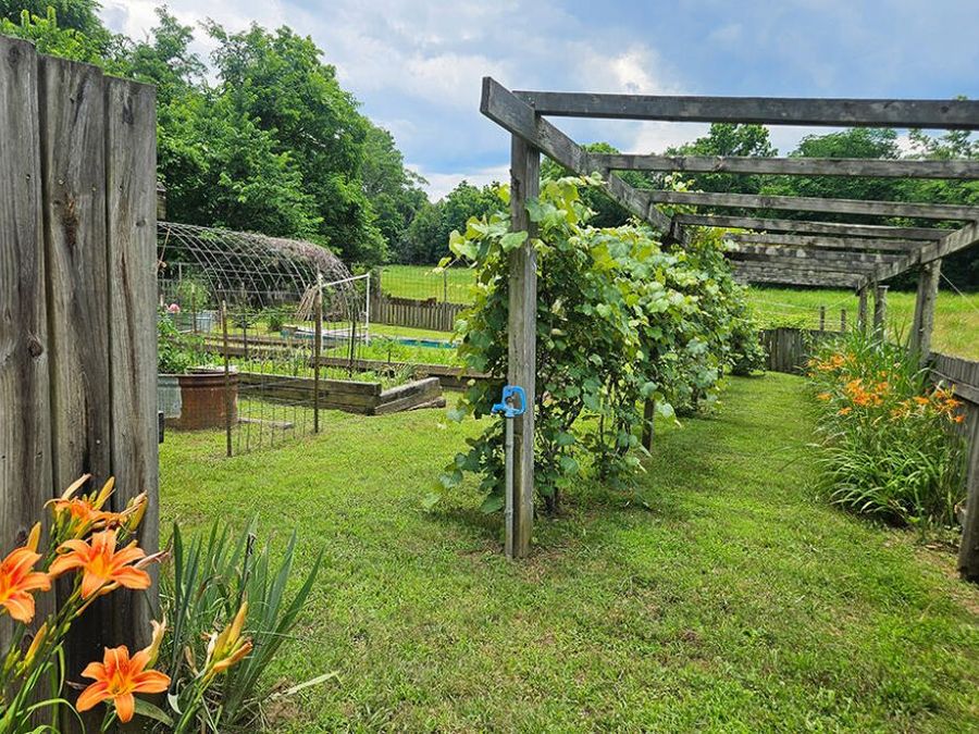 Property Image 60