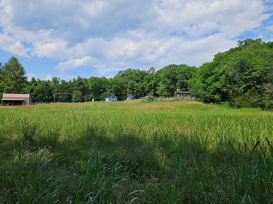 Property Image 95