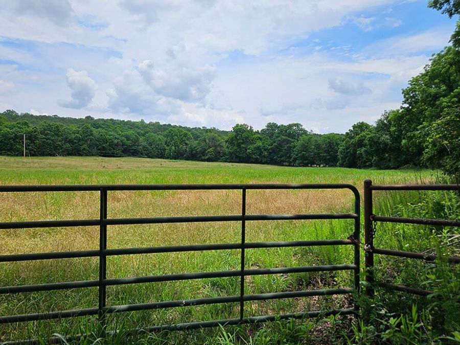 Property Image 99
