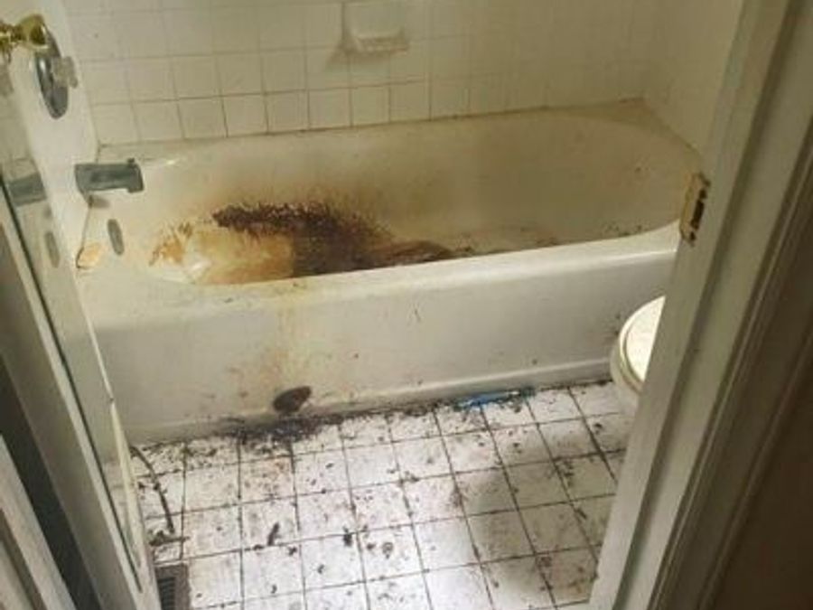 Property Image 8