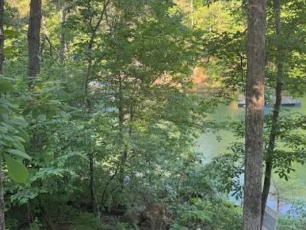 BIG BEND GODSEY ROAD, Houston, AL 35572