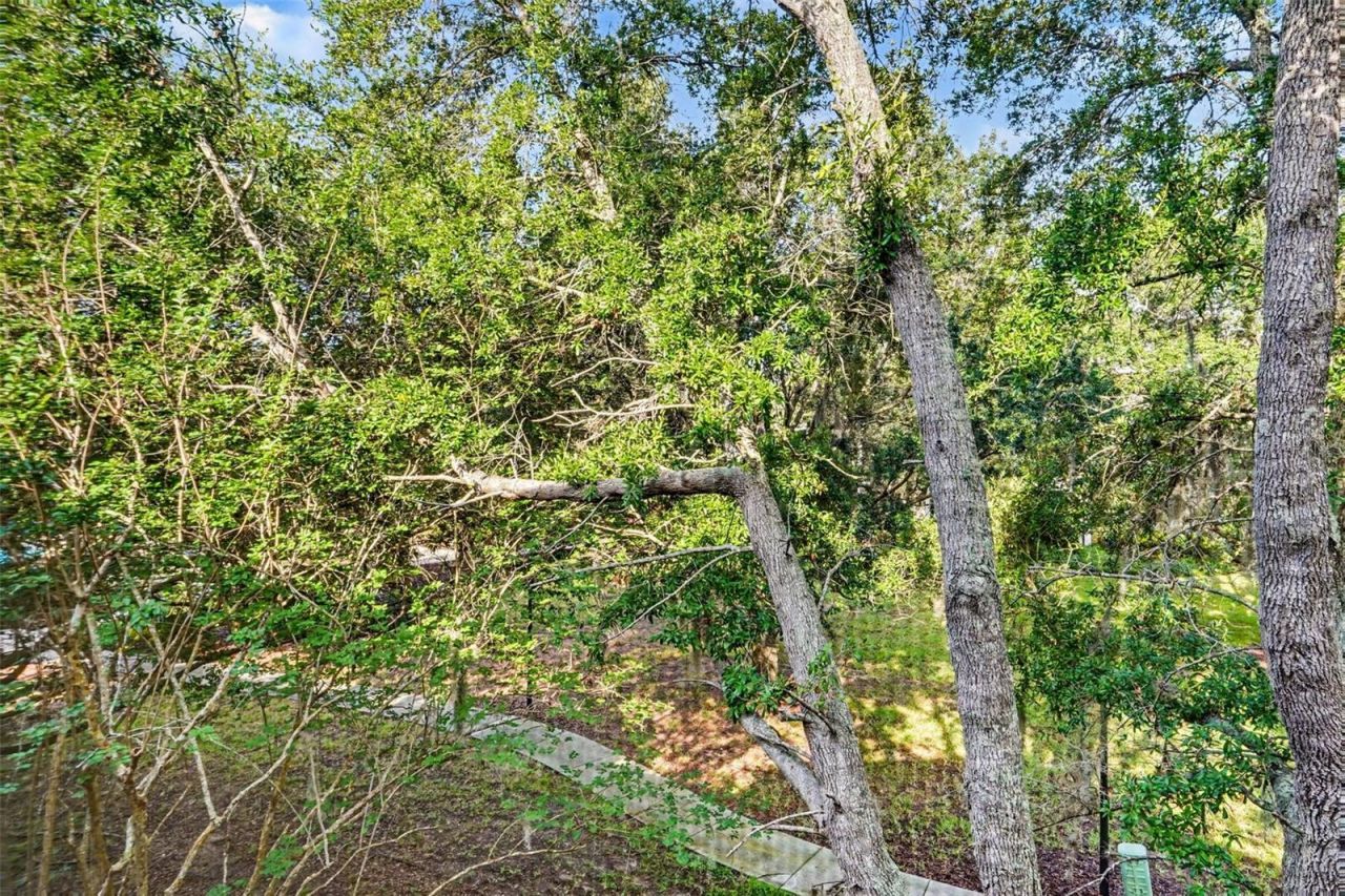 114 Lucaya Loop , Unit 114, Davenport, FL 33897 Photo