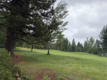 305 Bailey Creek Drive, Lake Almanor, CA 96137 Photo