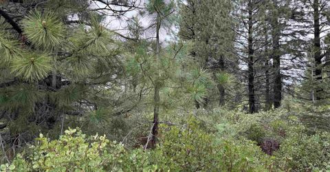 305 Bailey Creek Drive, Lake Almanor, CA 96137 Photo