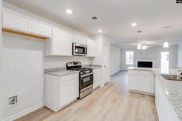 205 Kingsley Drive  photo 4