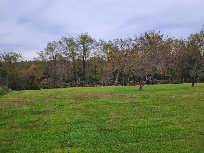 220 Old Eagle Tunnel Road, Glencoe, KY 41046 Photo 8
