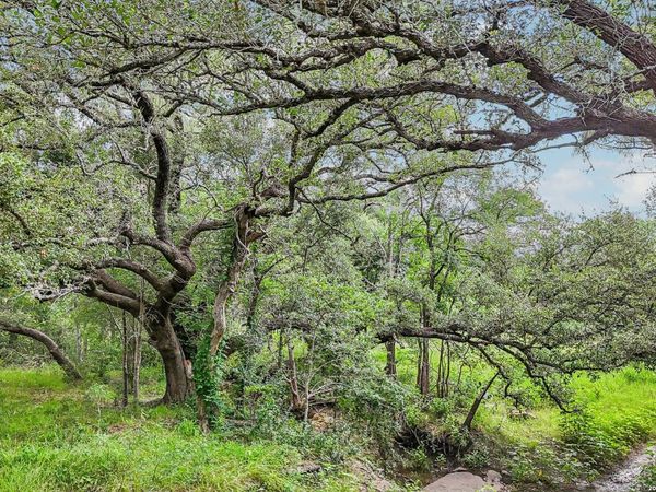 1617 BLUE CREEK RD, La Vernia, TX 78121