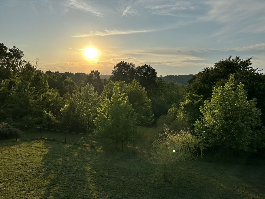 Property Image 47