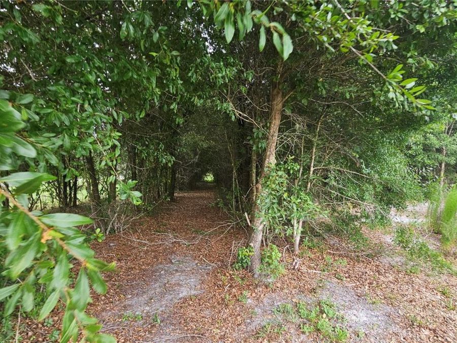 Property Image 63