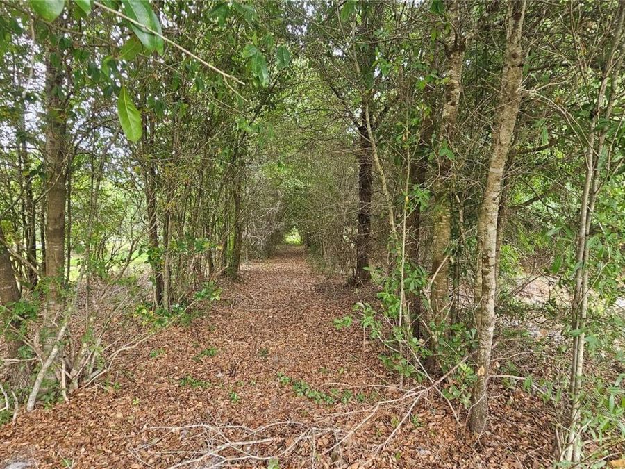Property Image 64