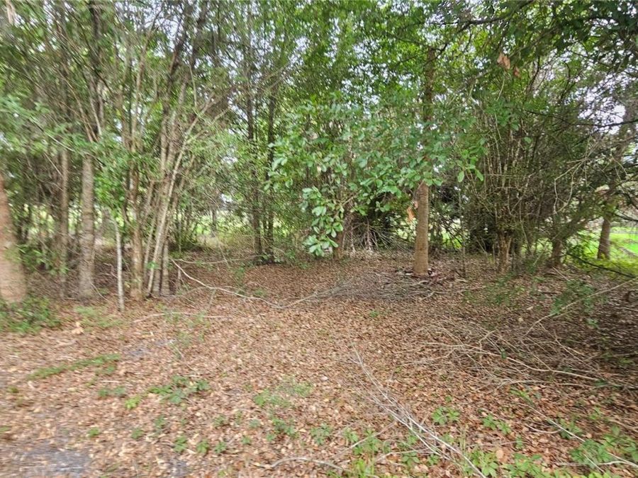 Property Image 65