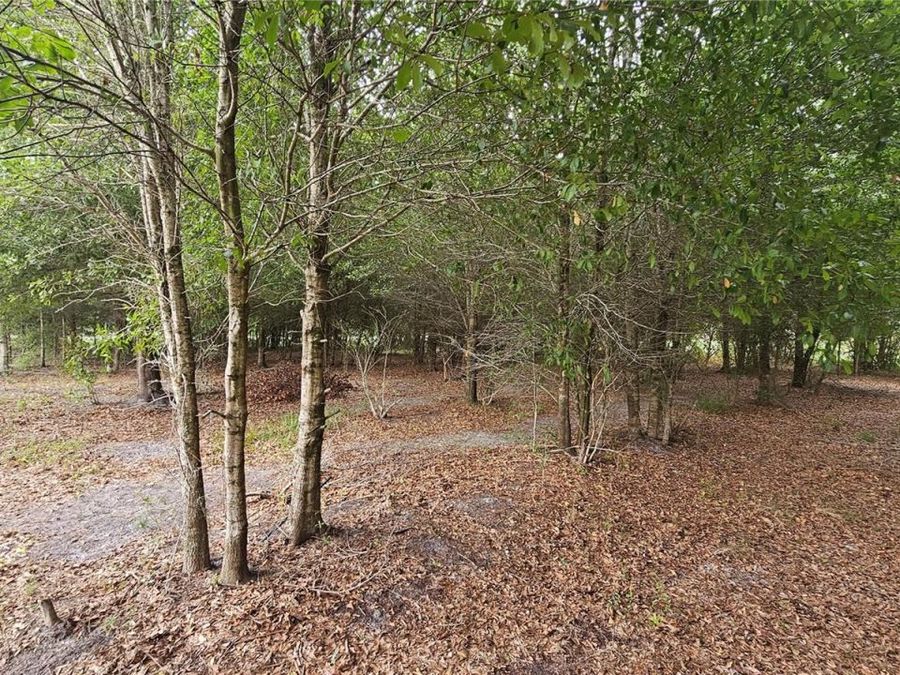 Property Image 66