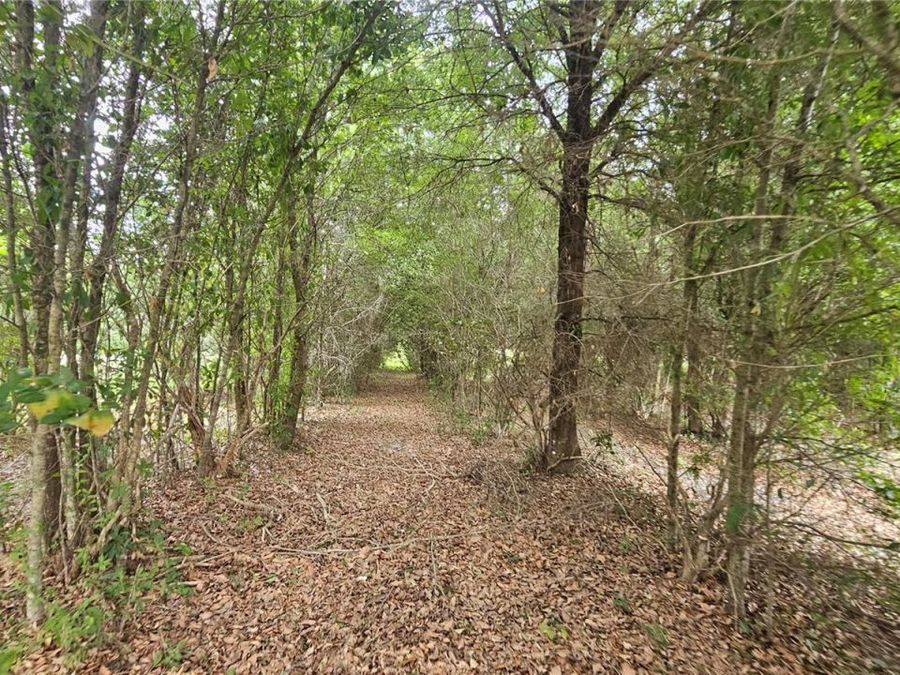 Property Image 67