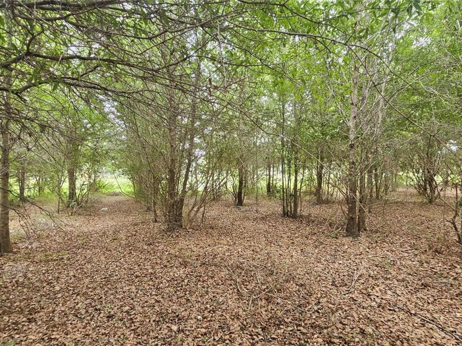 Property Image 68