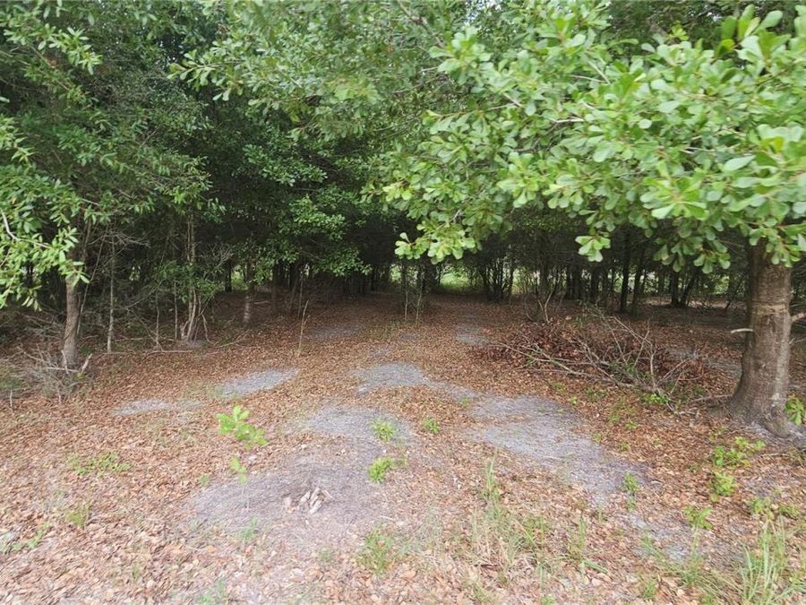 Property Image 69