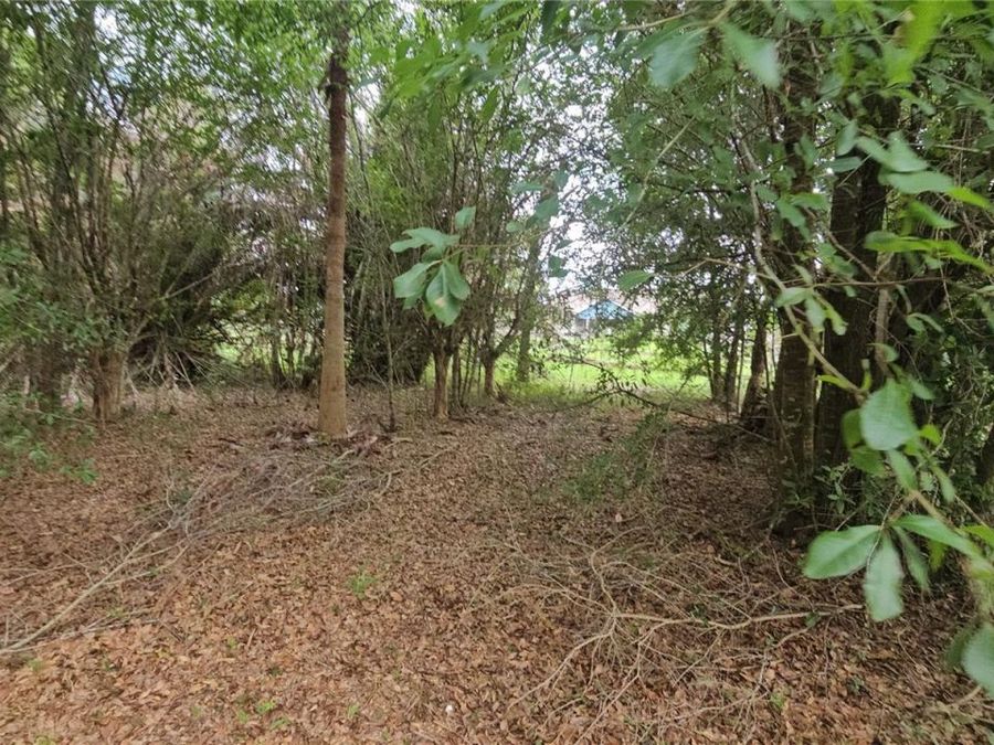 Property Image 71