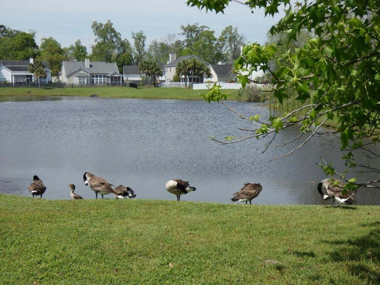 351 Matuskovic Drive Photo 18