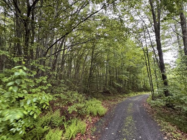 101 Gilsum Road, Unit 1, Sullivan, NH 03445
