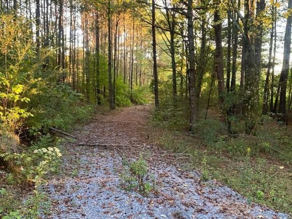 3.7 Acres County Highway 10, Blountsville, AL 35031