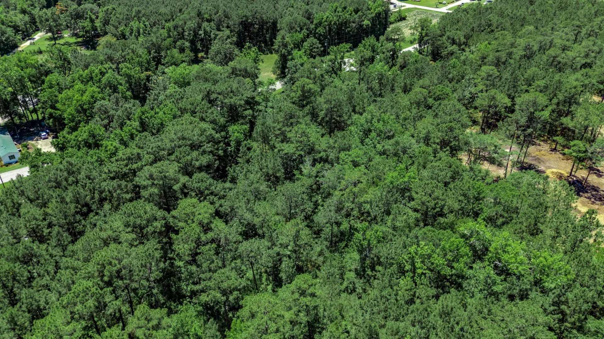 Union Church Rd.  Photo 10