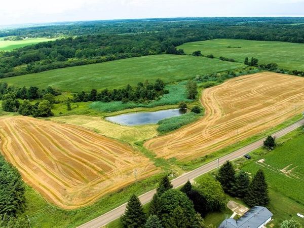 VL Custer Road , Sanilac Twp, MI 48419
