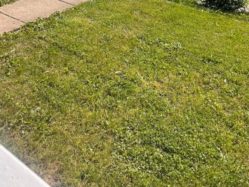 286 S Richardson Avenue , Columbus, OH 43204 Photo 3