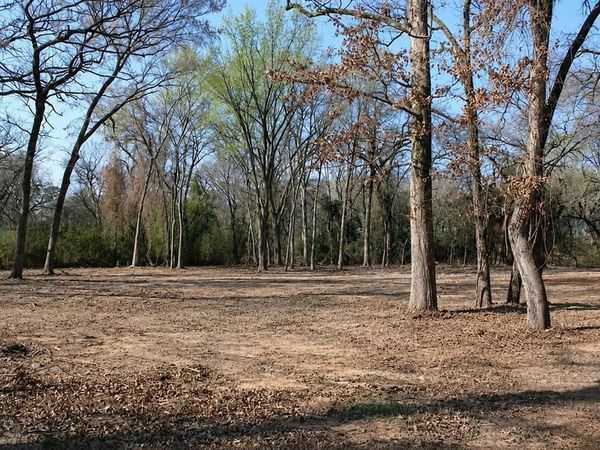TBD LISA Lane , Gun Barrel City, TX 75156