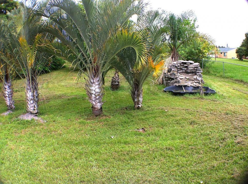 3033 SW Denton Street, Port Saint Lucie, FL 34953 Photo