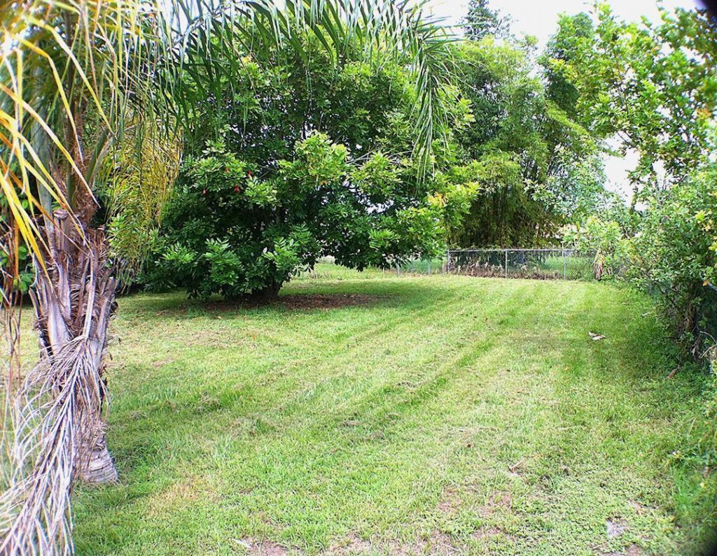 3033 SW Denton Street, Port Saint Lucie, FL 34953 Photo