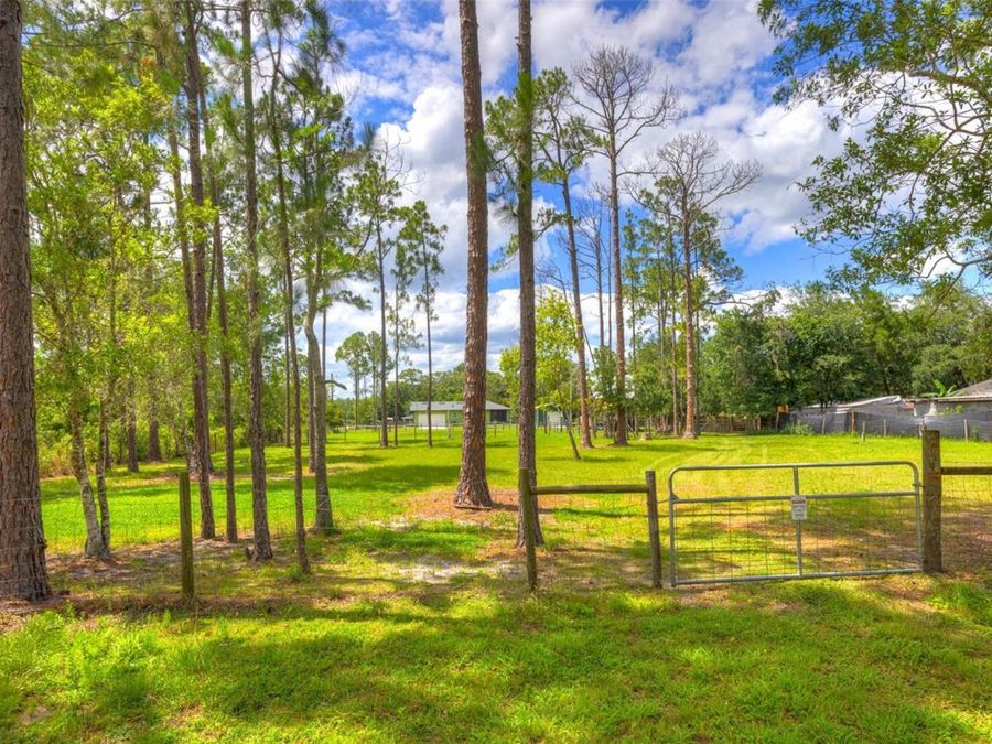 Property Image 61