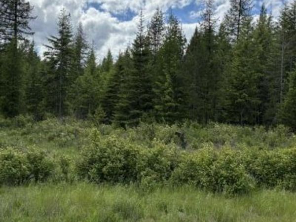 Good Hope Road , Athol, ID 83801