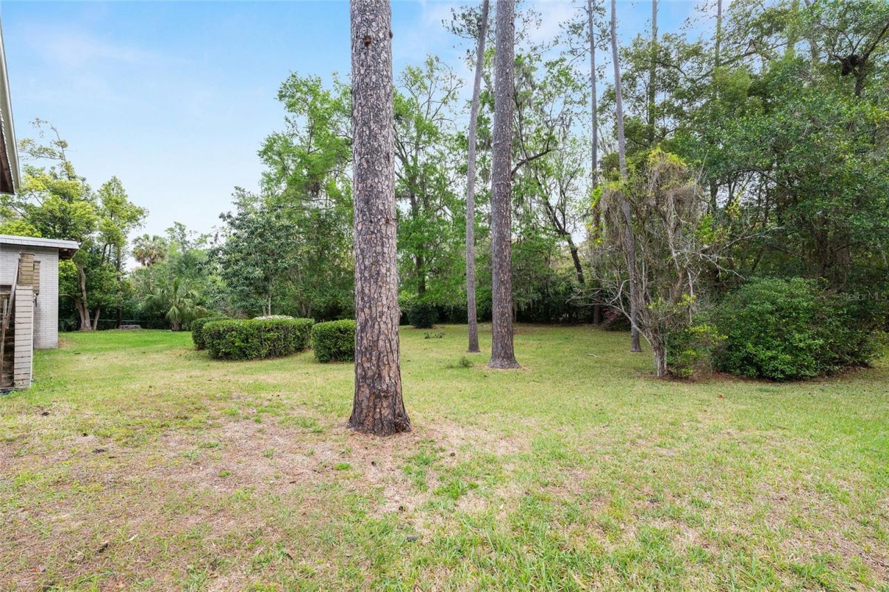 1931 NW 32nd Terrace , Gainesville, FL 32605 Photo