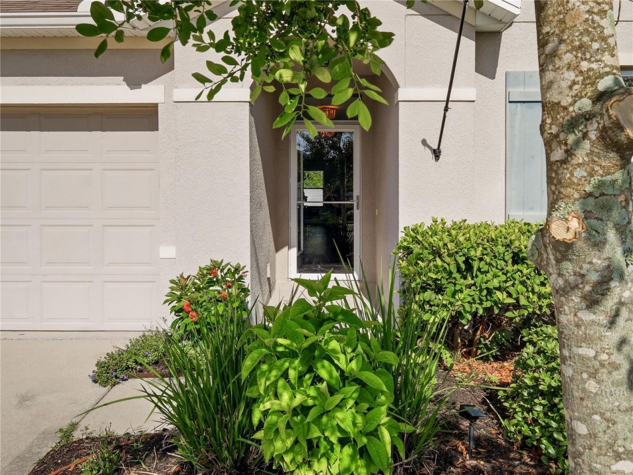2752 Star Coral Lane, New Smyrna Beach, FL 32168 Photo