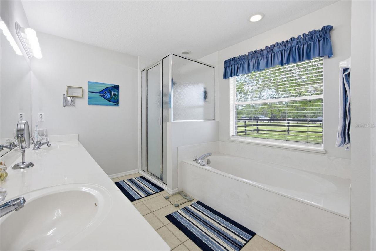 19630 SE 15th Place , Morriston, FL 32668 Photo