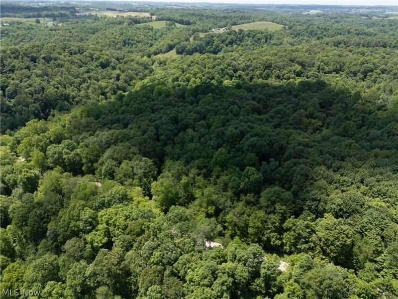 0 Brushy Hill Road, Jerusalem, OH 43716 Photo 19