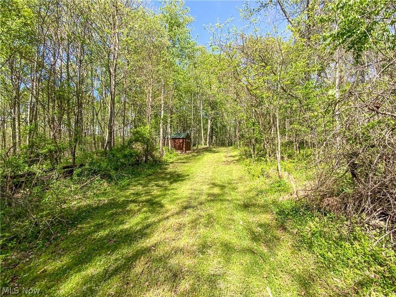 0 Brushy Hill Road, Jerusalem, OH 43716 Photo 3