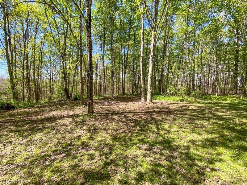 0 Brushy Hill Road, Jerusalem, OH 43716 Photo 4