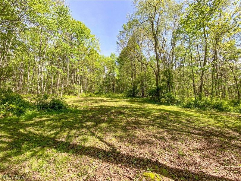 0 Brushy Hill Road, Jerusalem, OH 43716 Photo 5