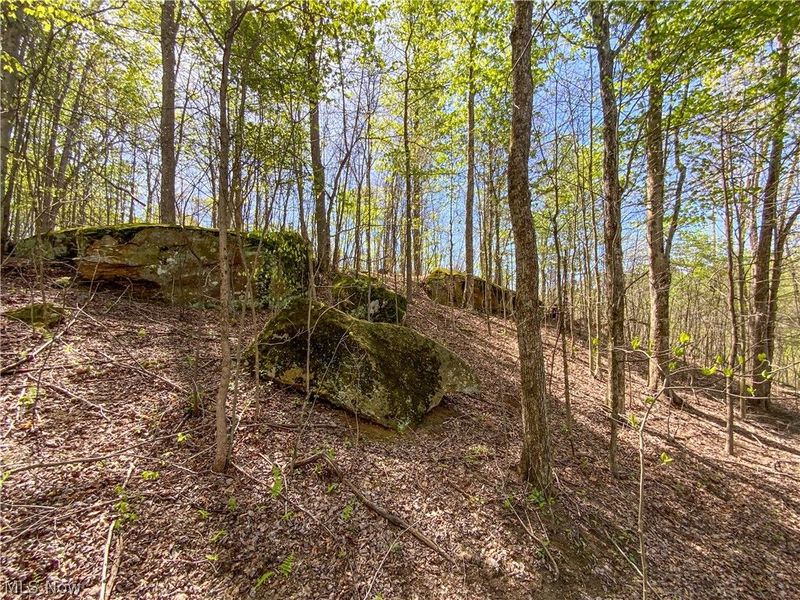 0 Brushy Hill Road, Jerusalem, OH 43716 Photo 6